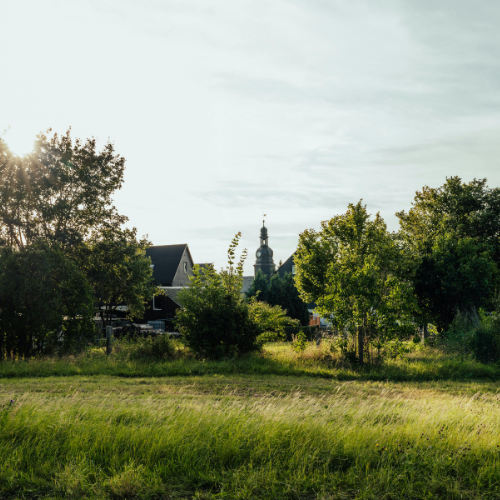 agriturismo immerso nel verde in Val di Cecina